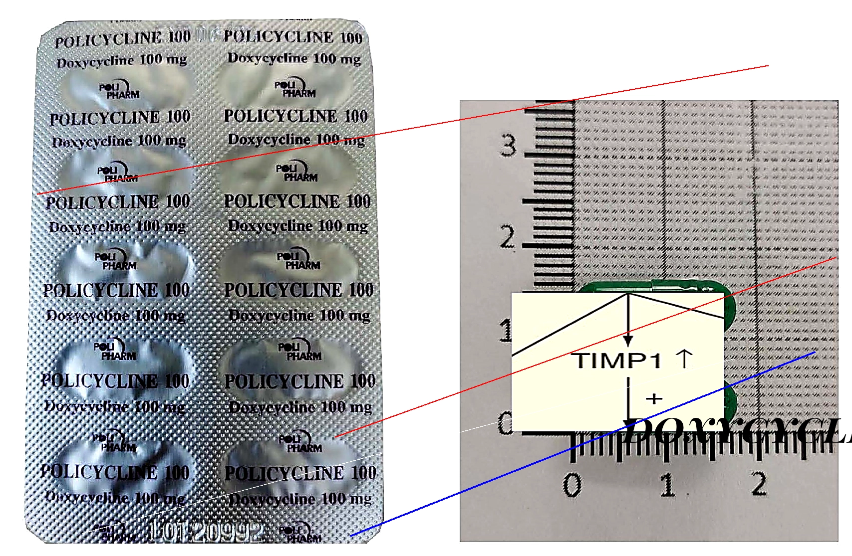 Achat doxycycline en ligne